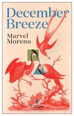 December Breeze: A masterful novel on womanhood in Colombia цена и информация | Фантастика, фэнтези | 220.lv