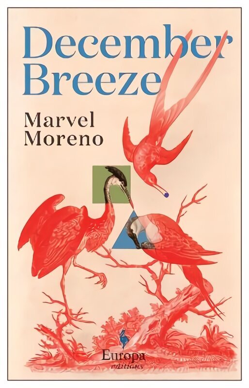 December Breeze: A masterful novel on womanhood in Colombia cena un informācija | Fantāzija, fantastikas grāmatas | 220.lv
