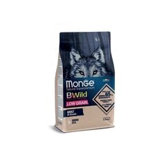 Monge BWild Adult All Breed сухой корм с гусятиной для взрослых собак всех пород 12кг цена и информация |  Сухой корм для собак | 220.lv