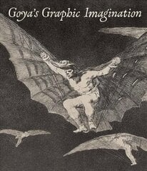 Goya's Graphic Imagination цена и информация | Книги об искусстве | 220.lv