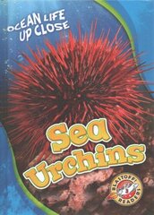 Sea Urchins цена и информация | Книги для подростков и молодежи | 220.lv