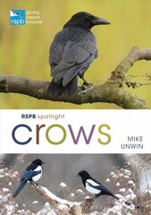 RSPB Spotlight Crows цена и информация | Книги о питании и здоровом образе жизни | 220.lv