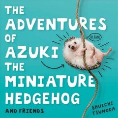 Adventures of Azuki the Miniature Hedgehog and Friends cena un informācija | Fantāzija, fantastikas grāmatas | 220.lv