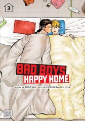 Bad Boys, Happy Home, Vol. 3 цена и информация | Фантастика, фэнтези | 220.lv