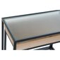Sānu galdiņš DKD Home Decor, Metāls/Stikls, 2 gab. cena un informācija | Žurnālgaldiņi | 220.lv