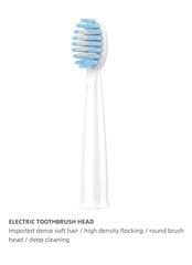 Uzgaļi elektroniskajām zobu birstēm, Techancy, 4 gab. cena un informācija | Zobu pastas, birstes | 220.lv