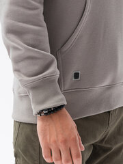 Džemperis ar kapuci B979, pelēks 119801-7 cena un informācija | Vīriešu jakas | 220.lv