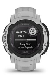 Garmin Instinct 2 Solar, mist gray цена и информация | Смарт-часы (smartwatch) | 220.lv