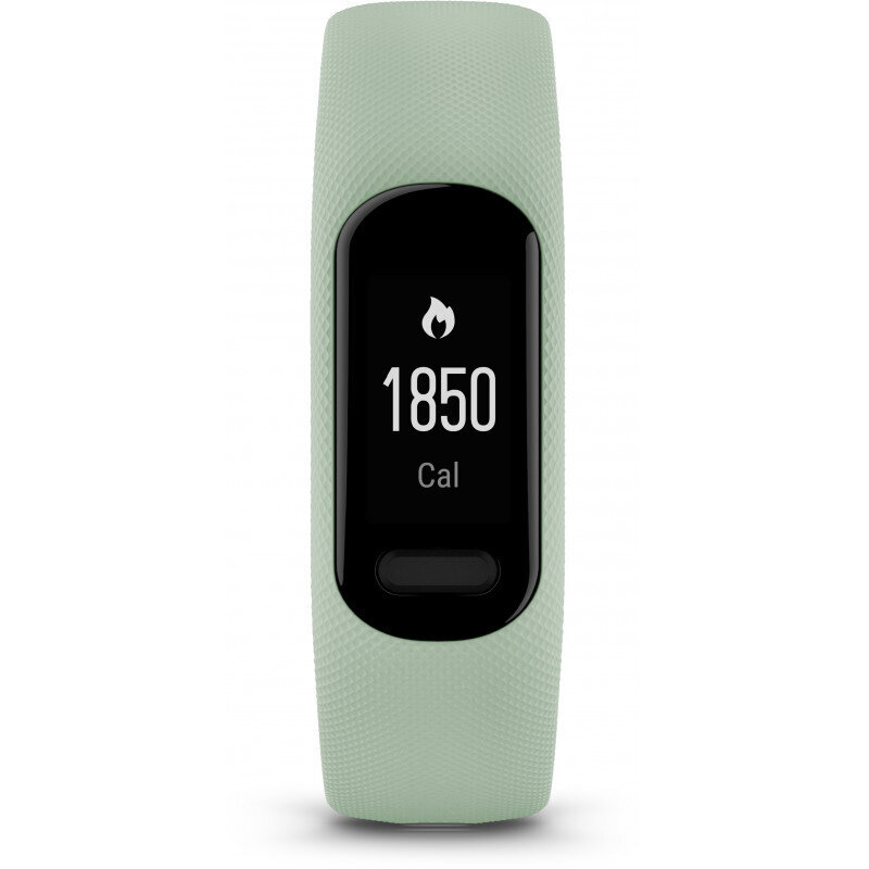 Garmin Vivosmart 5, mint green cena un informācija | Fitnesa aproces | 220.lv