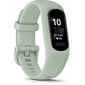 Garmin vívosmart® 5 Cool Mint cena un informācija | Fitnesa aproces | 220.lv