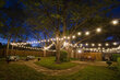 Āra apgaismojuma vītne Tonro Glow, 50 m cena un informācija | Ziemassvētku lampiņas, LED virtenes | 220.lv