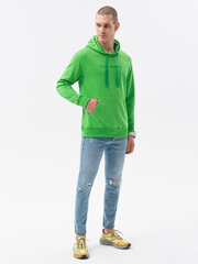 Džemperis vīriešiem B1351 - zaļš cena un informācija | Vīriešu jakas | 220.lv