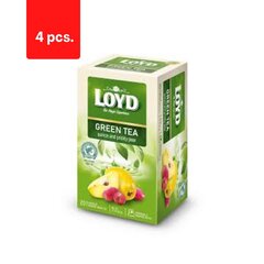 Zaļā tēja LOYD, cidoniju un opuncijas garša, 20 x 1,7g x 4 iepakojums. iepakojums цена и информация | Чай | 220.lv