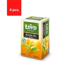 Melnā tēja LOYD, maisiņos, 20 x 2g x 4 iepakojumi. iepakojums cena un informācija | Tēja | 220.lv