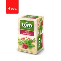 Травяной и фруктовый чай со вкусом мяты и малины LOYD, 20 х 2 г х 4 упаковки цена и информация | Чай | 220.lv