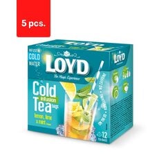 LOYD Cold Infusion tēja, citrona, zaļā citrona un piparmētru garša, 12 x 2,5 g x 5 iepakojumi. cena un informācija | Tēja | 220.lv