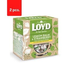 Травяной и фруктовый чай со вкусом мелиссы и черного перца LOYD, 20 х 2 г х 2 цена и информация | Чай | 220.lv