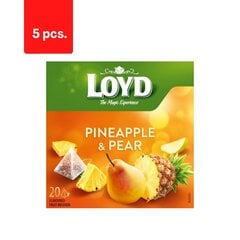Чай фруктовый со вкусом ананаса и груши LOYD, 20 х 2 г х 5 упаковок цена и информация | Чай | 220.lv