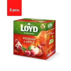 Чай фруктовый со вкусом яблока и облепихи LOYD, 20 х 2 г х 5 упаковок цена и информация | Чай | 220.lv