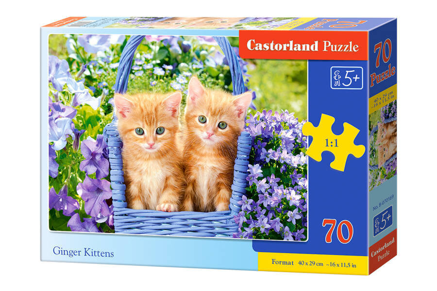 Puzle Ginger Kittens, 70 d. cena un informācija | Puzles, 3D puzles | 220.lv