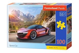 Puzle Sports Car, 100 d. cena un informācija | Puzles, 3D puzles | 220.lv