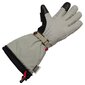 Glovii Heated Ski Gloves S cena un informācija | Vīriešu cepures, šalles, cimdi | 220.lv