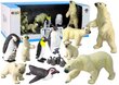 Polāro dzīvnieku figūriņu komplekts, 12 gab. cena un informācija | Attīstošās rotaļlietas | 220.lv
