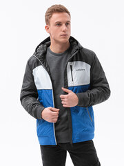 Куртка весна-осень C447, синяя цена и информация | Мужские куртки | 220.lv