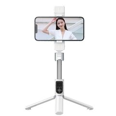 Штатив для телефона REMAX P13 Dual-Light selfie stick цена и информация | Аксессуары для телефонов | 220.lv