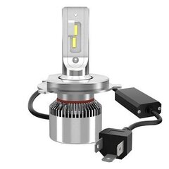 Osram H4 LEDriving XTR 12V P43T 2 gab. cena un informācija | Auto spuldzes | 220.lv