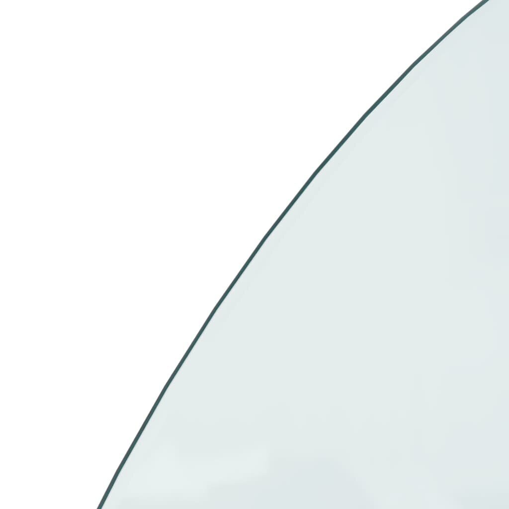 Kamīna stikla panelis, 120x60cm cena un informācija | Kamīnu un krāšņu aksesuāri | 220.lv