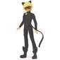 Brīnumains - supervaroņu noslēpums - pārveidojiet Adrienu par Cat Noir! цена и информация | Rotaļlietas zēniem | 220.lv