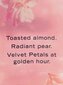 Victoria's Secret Velvet Petals Golden ķermeņa losjons, 236 ml цена и информация | Ķermeņa krēmi, losjoni | 220.lv