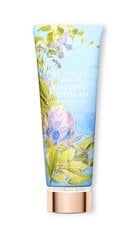 Victoria's Secret Garden Daydream ķermeņa losjons, 236 ml cena un informācija | Ķermeņa krēmi, losjoni | 220.lv