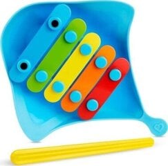 Muzikāla vannas rotaļlieta Ksilofons Dingray Munchkin, zils цена и информация | Игрушки для малышей | 220.lv