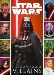 Star Wars: The Galaxy's Greatest Villains цена и информация | Книги об искусстве | 220.lv