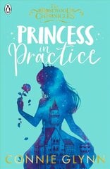 Princess in Practice цена и информация | Книги для подростков  | 220.lv