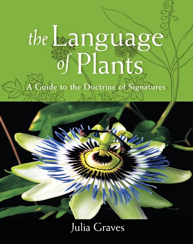 Language of Plants: A Guide to the Doctrine of Signatures cena un informācija | Pašpalīdzības grāmatas | 220.lv