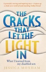 Cracks that Let the Light In: What I learned from my disabled son цена и информация | Самоучители | 220.lv