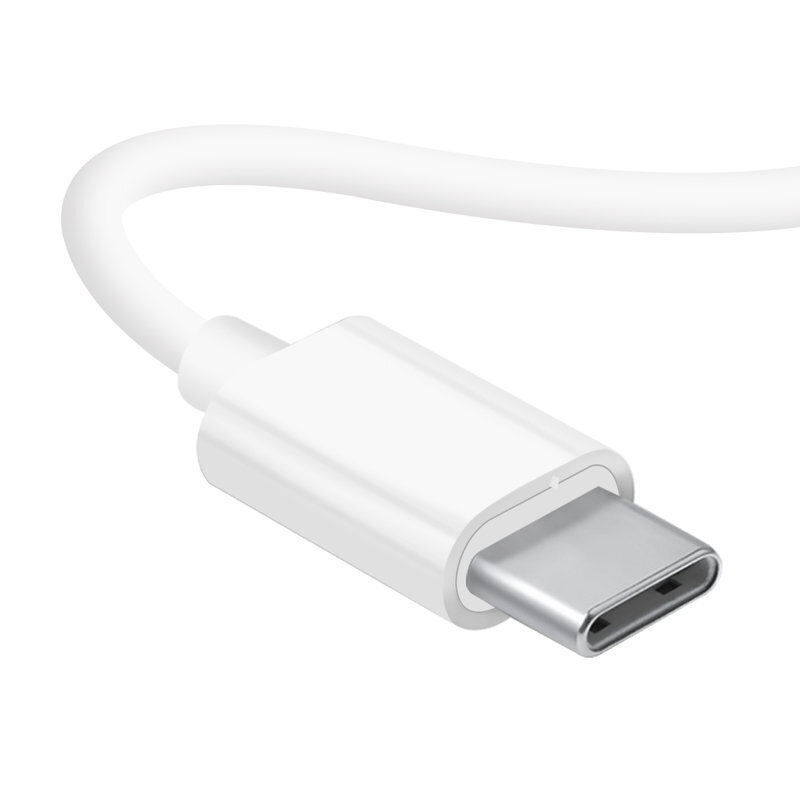 Dudao X3C, USB Type-C, balts цена и информация | Austiņas | 220.lv