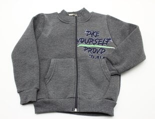 Silts džemperis puikam cena un informācija | Zēnu jakas, džemperi, žaketes, vestes | 220.lv
