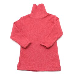 Džemperis ar augstu kaklu, sarkanā krāsā цена и информация | Свитеры, жилетки, пиджаки для девочек | 220.lv