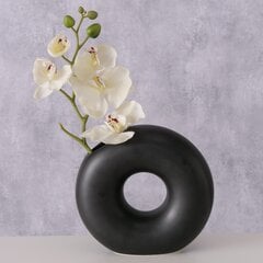Boltze keramikas vāze 19 cm cena un informācija | Vāzes | 220.lv