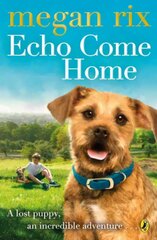 Echo Come Home цена и информация | Книги для подростков и молодежи | 220.lv