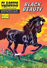 Black Beauty цена и информация | Книги для подростков и молодежи | 220.lv