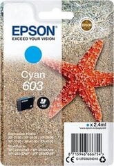 Картридж с оригинальными чернилами Epson 603 Циановый цена и информация | Картриджи для струйных принтеров | 220.lv