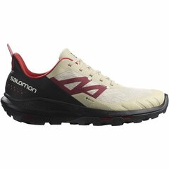 Беговые кроссовки для взрослых Salomon Outpulse Gore-Tex Бежевый цена и информация | Кроссовки для мужчин | 220.lv