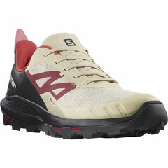 Беговые кроссовки для взрослых Salomon Outpulse Gore-Tex Бежевый цена и информация | Кроссовки для мужчин | 220.lv