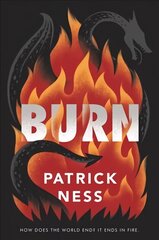 Burn цена и информация | Книги для подростков  | 220.lv