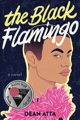 Black Flamingo цена и информация | Книги для подростков и молодежи | 220.lv